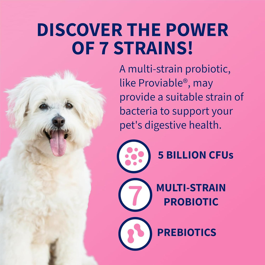 Nutramax Proviable Probiotics for Dogs & Cats