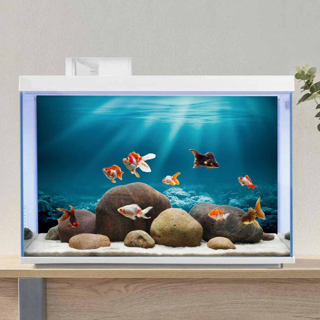 24x16 in Undersea Aquarium Backdrop Underwater World Fish Tank