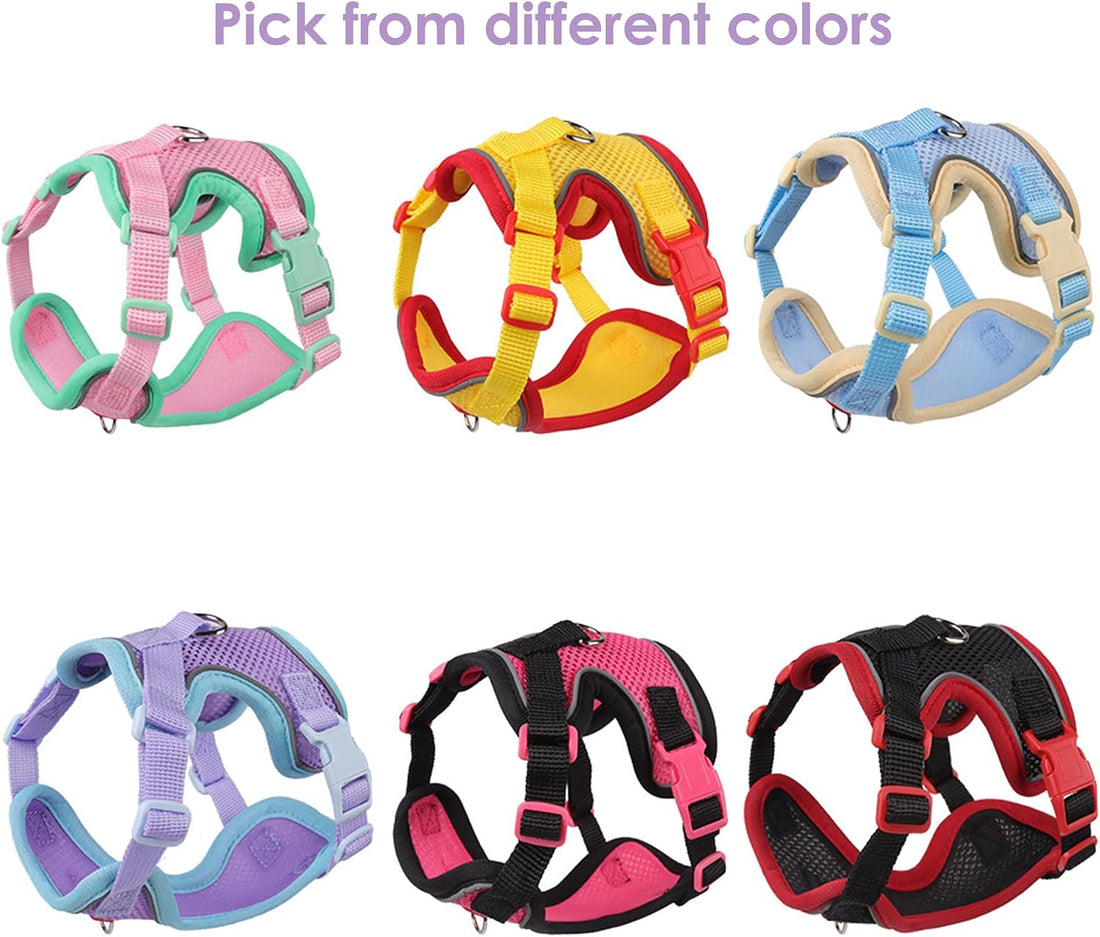 Cat Harness and Leash Set for Walking