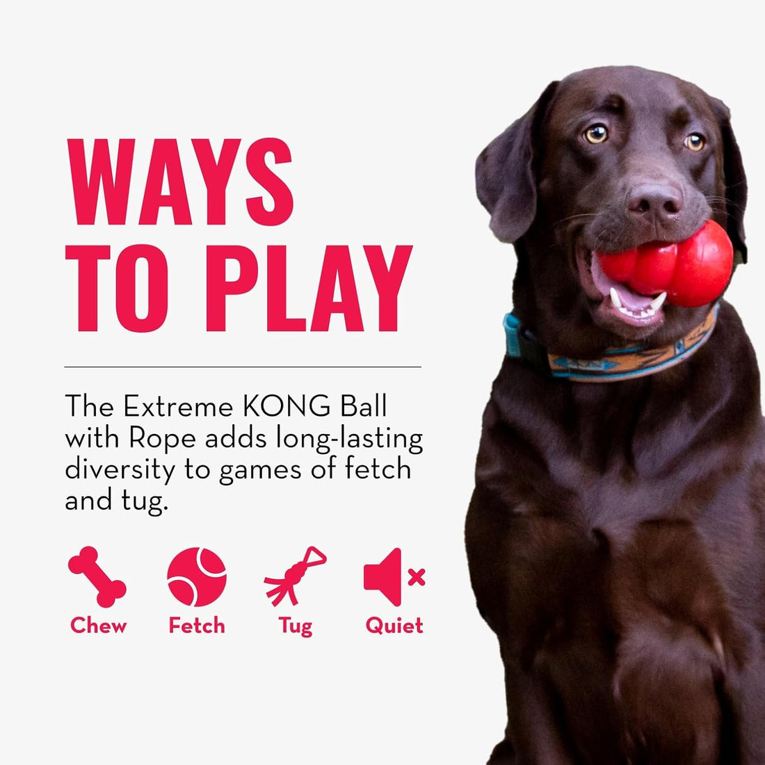 KONG Extreme Ball with Rope, Rubber Fetch Toy, Black, for Large Dogs