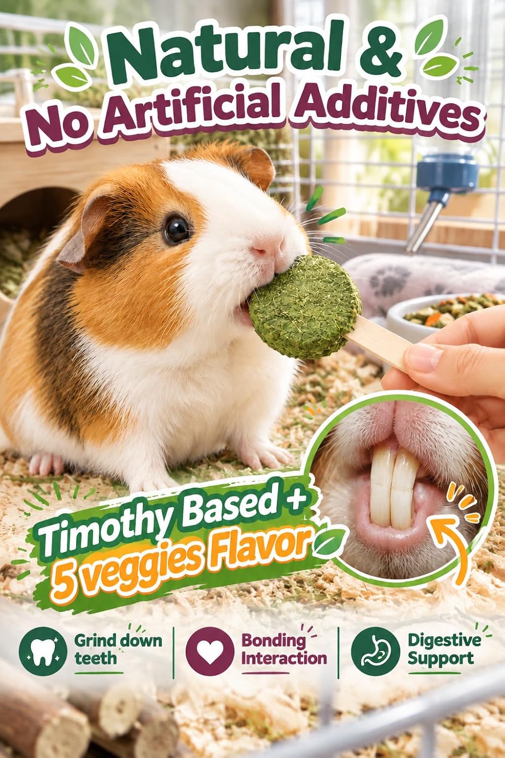 C-LIGHT Guinea Pig Chew Toys, Rotating Spinner + 8 Pcs Timothy