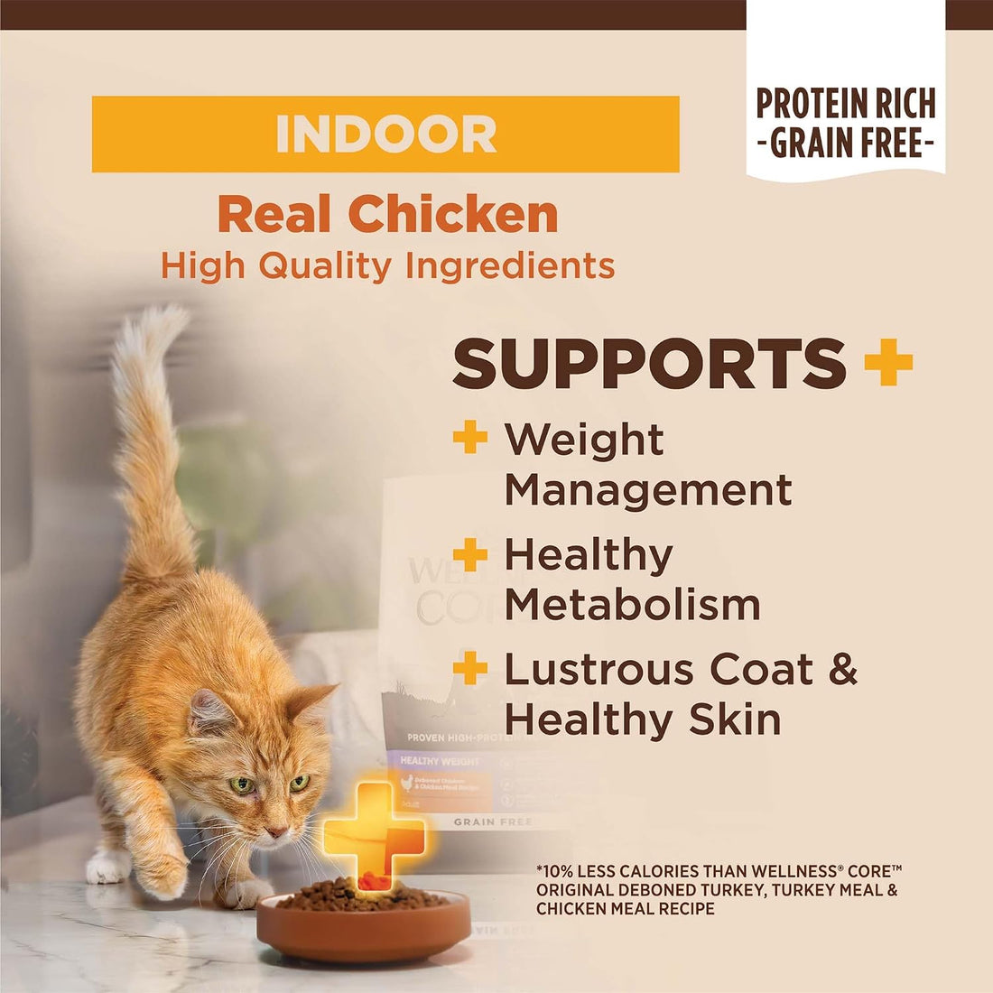Wellness CORE+ Adult Dry Cat Food for Indoor Cats, Natural