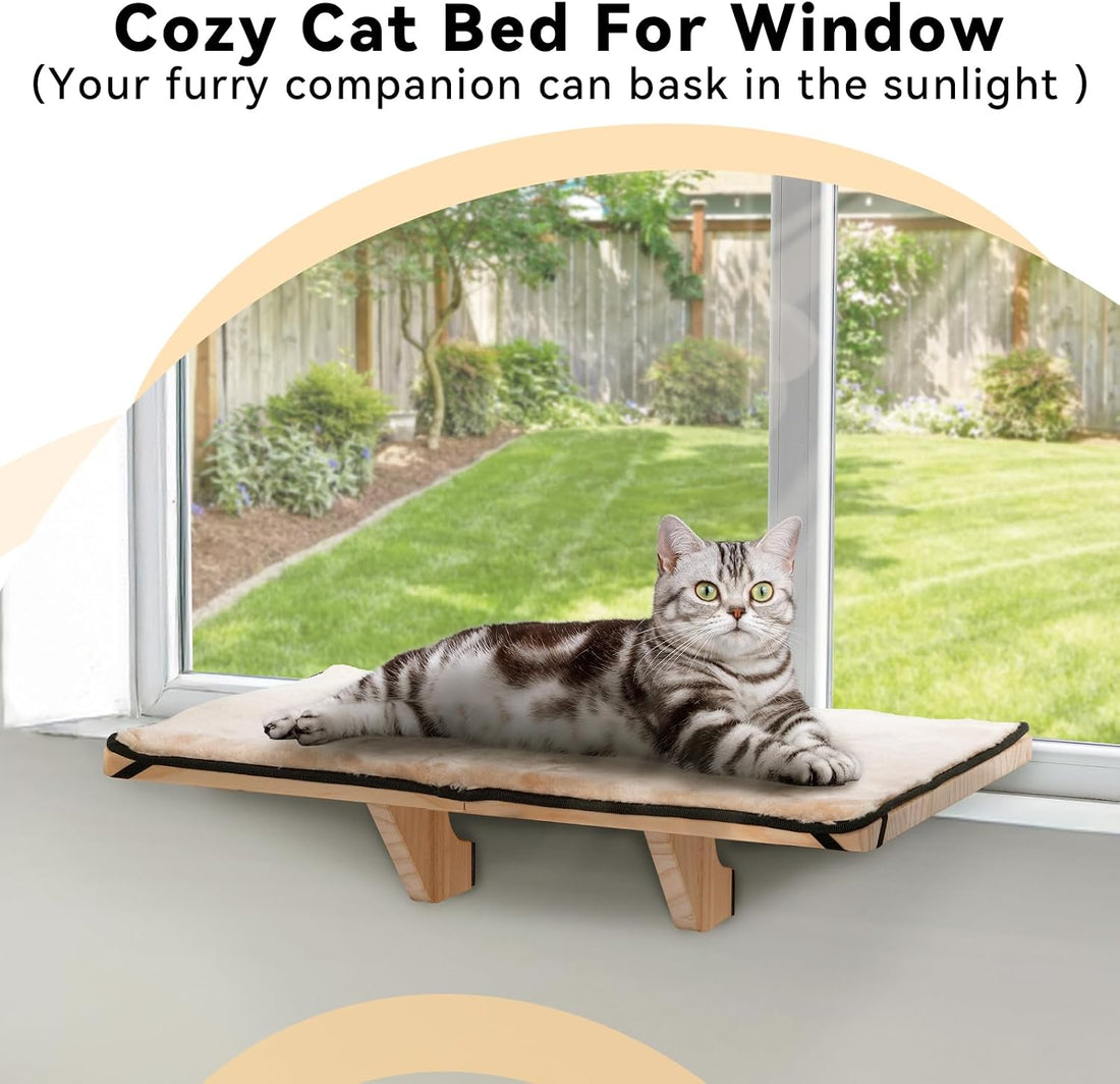 PETSFIT Cat Window Perch for 2 Cats