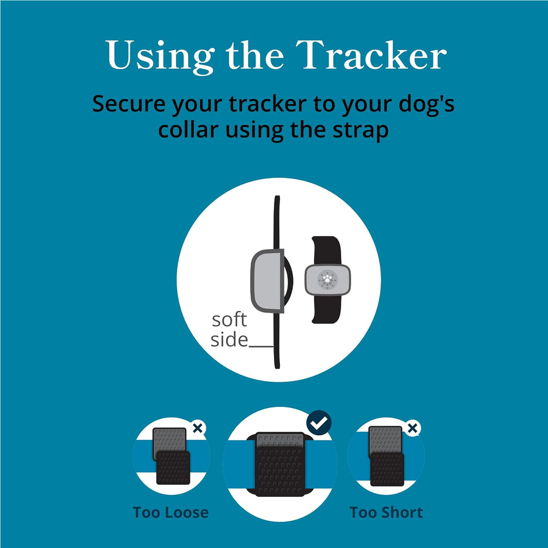 Petivity Smart GPS and Activity Dog Tracker Tag