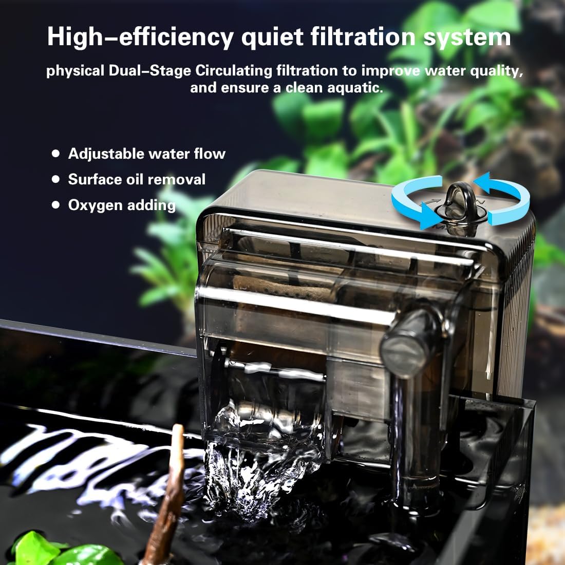2.8 Gallon Glass Fish Tank,Small Fish Tank with Light and Filter
