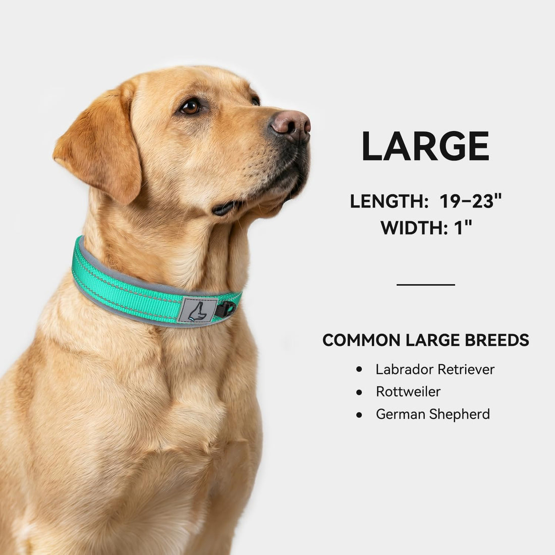 Joytale Dog Collar for Large Dogs, Neoprene Padded and Adjustable