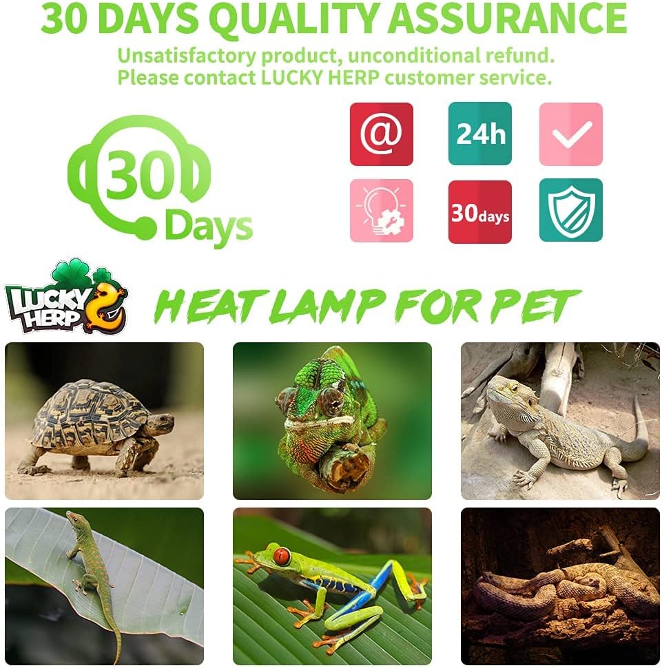 LUCKY HERP 4 Pack 100W Reptile Heat Lamp Bulb
