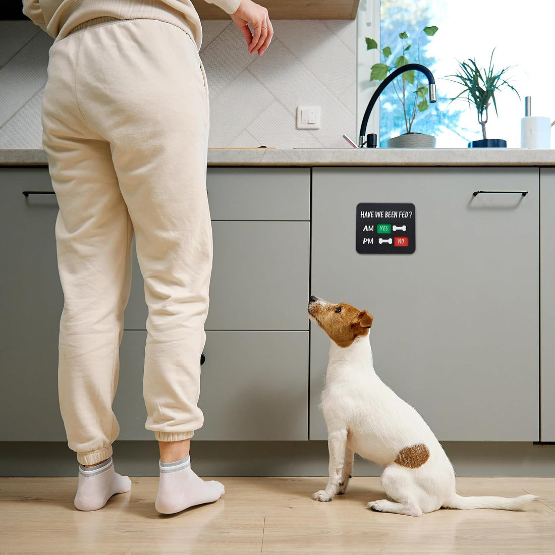 Dog Feeding Reminder - Dog Feeding Chart with Have We Been Fed AM/PM