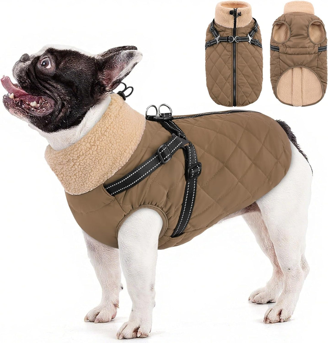 Queenmore Dog Jackets for Medium Dogs, Dog Coat with Harness Built in
