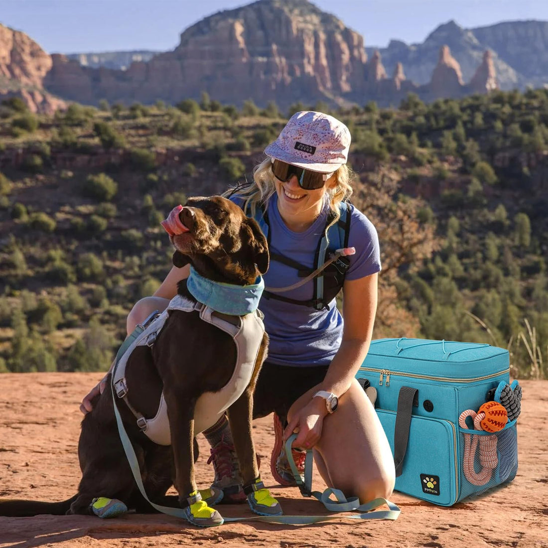 Dog Travel Bag