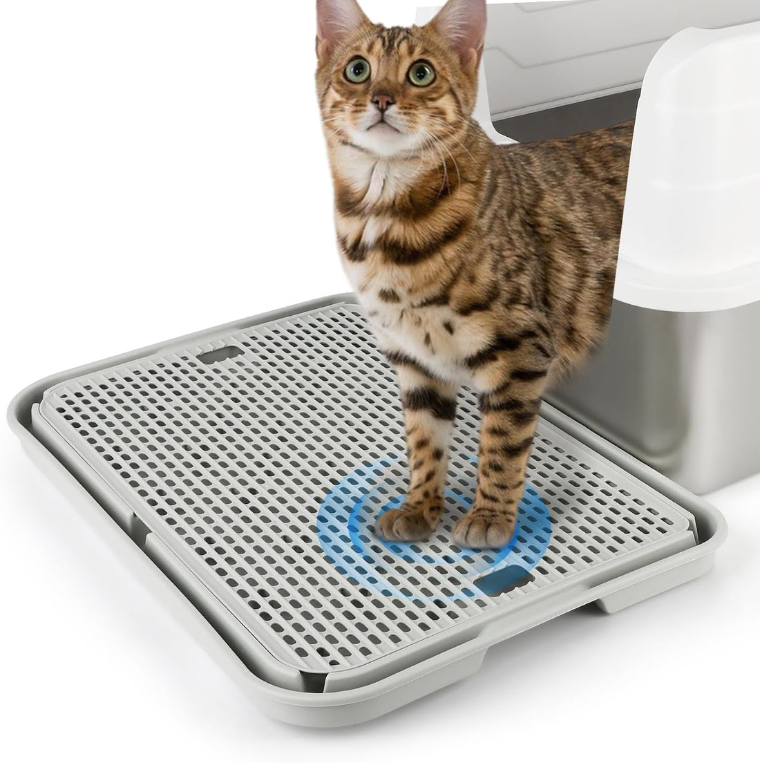 Litter Box Step, Cat Ramp Step Catcher with Filter Function, Grey