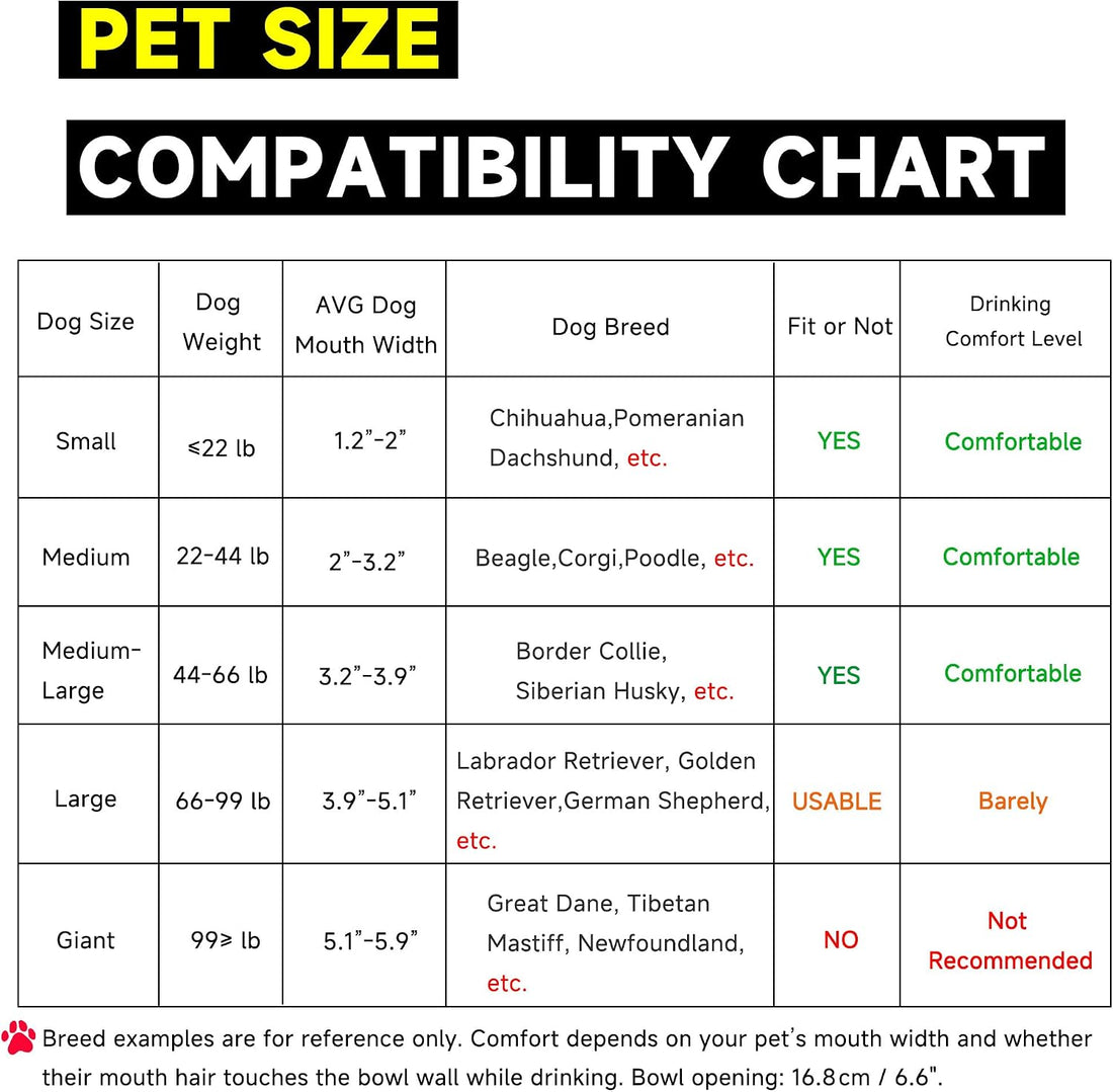 PETIMI Automatic Water Dispenser for Dogs