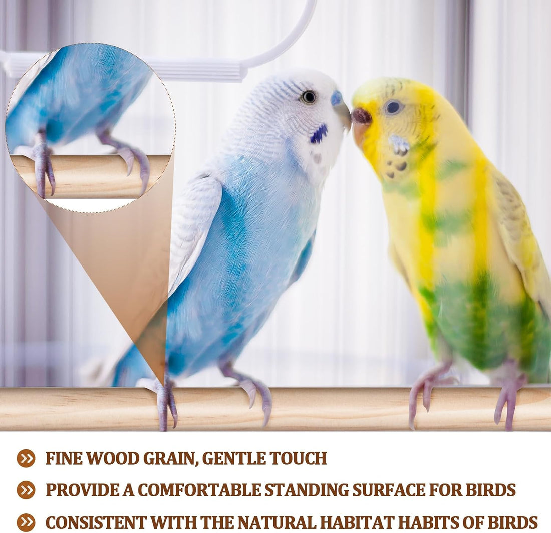 Sintuff Bird Perches Natural Wood Double Slots, 24 Inches, 4 Pcs