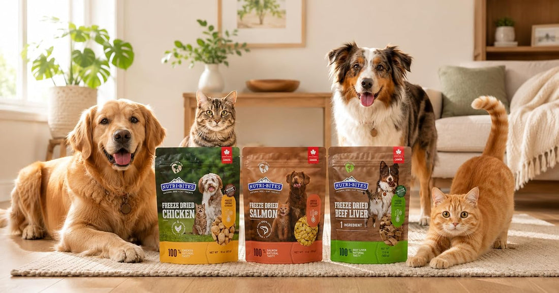 Nutri Bites Freeze Dried Salmon Dog & Cat Treats, Single Ingredient