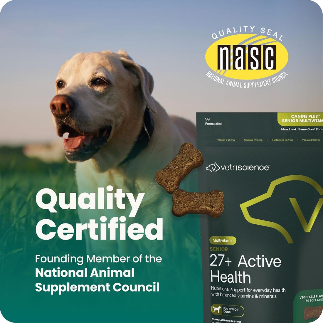 VetriScience Senior 27+ Active Health Chews