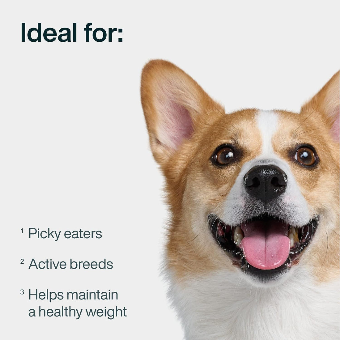 JustFoodForDogs JustFresh Wet Dog Food