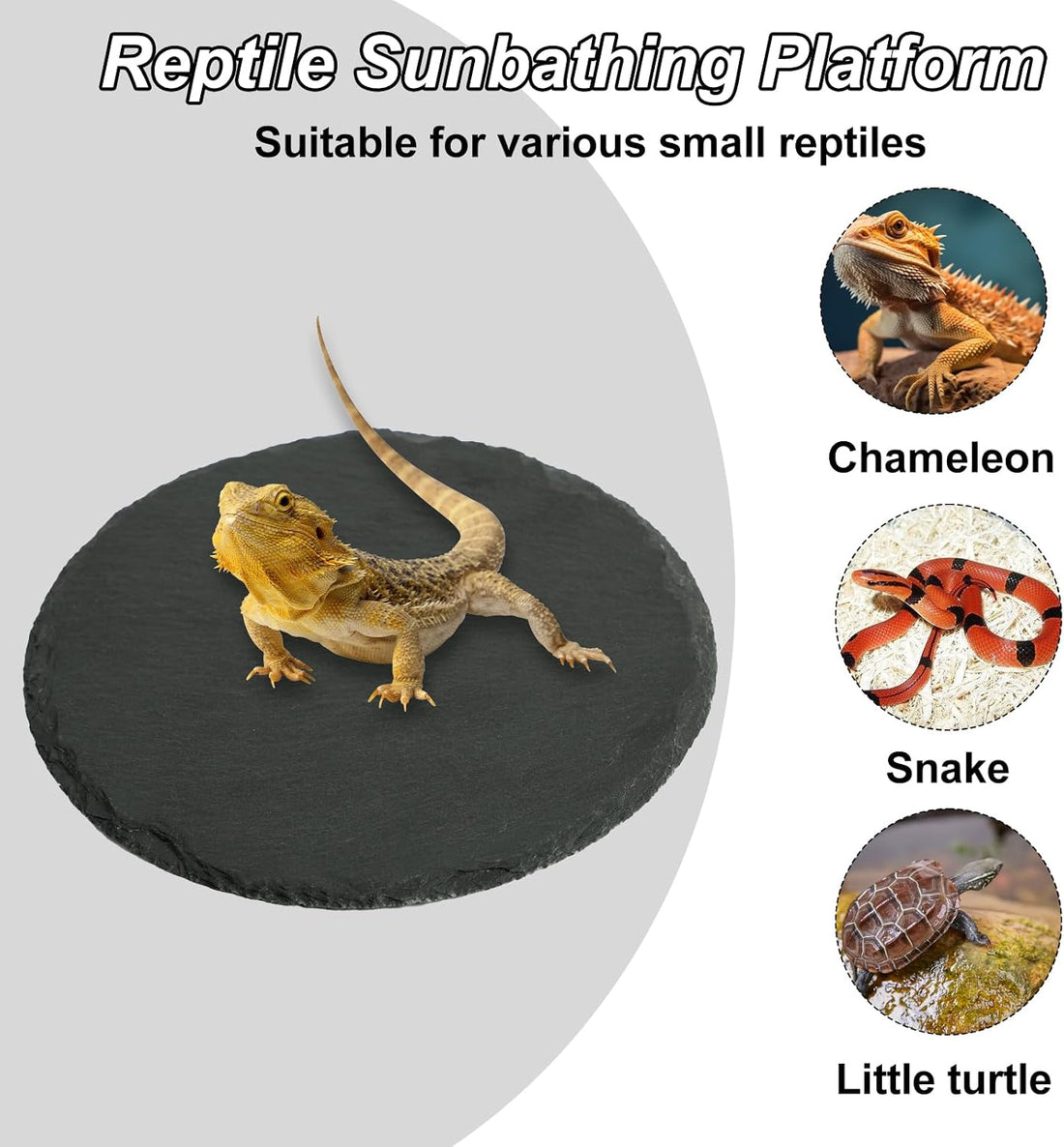 Reptile Tortoise Basking Slate Rocks Habitat Tiles Platform
