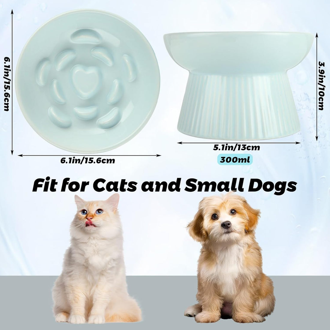 STARVAST 2 Pack Ceramic Slow Feeder Cat Bowl, Elevated