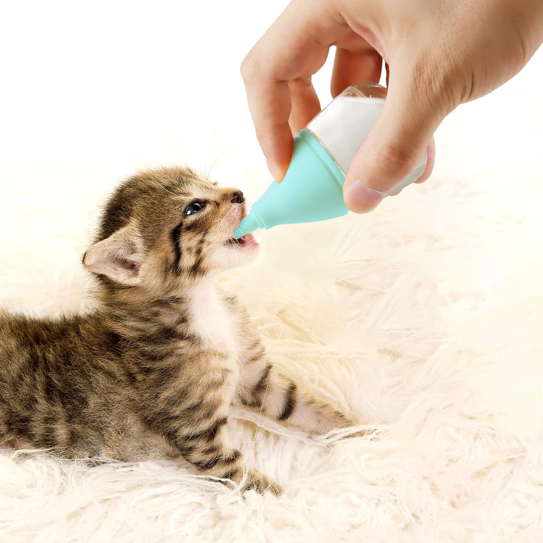 RockTech Ergonomic Kitten Bottle Feeding kit