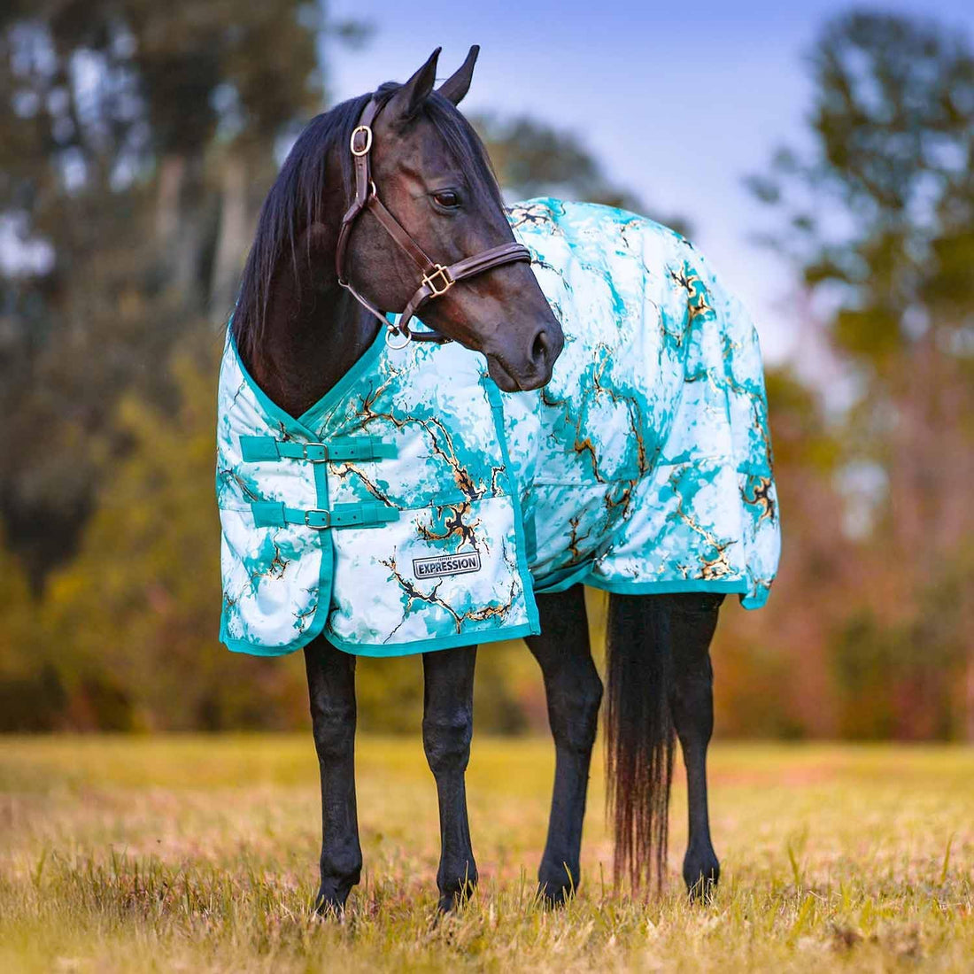 Jeffers 1200D Standard Neck Horse Turnout Sheet, 0G, 84" - Bisbee Blue