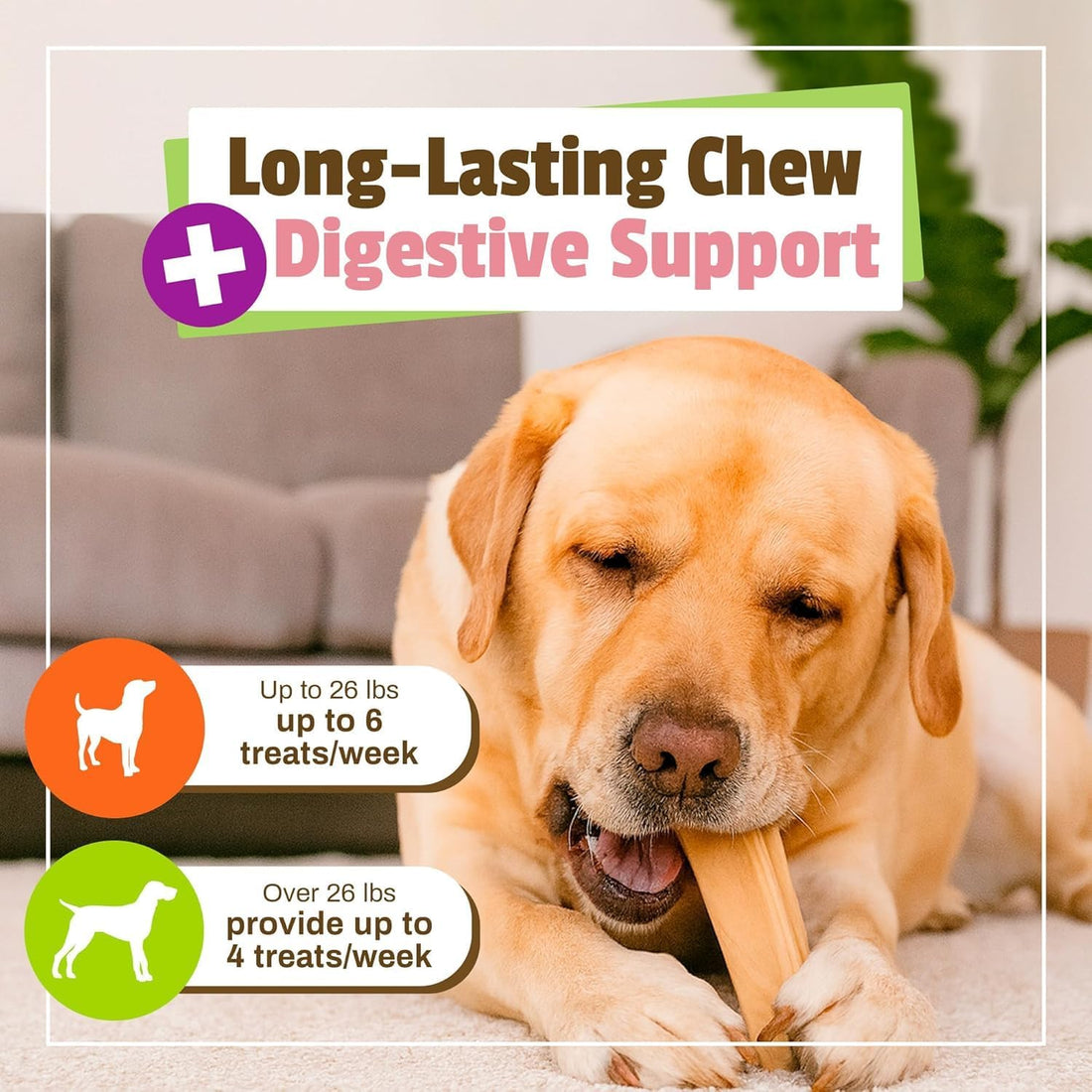 Pet Naturals BusyButter Balanced Belly Peanut Butter Bones
