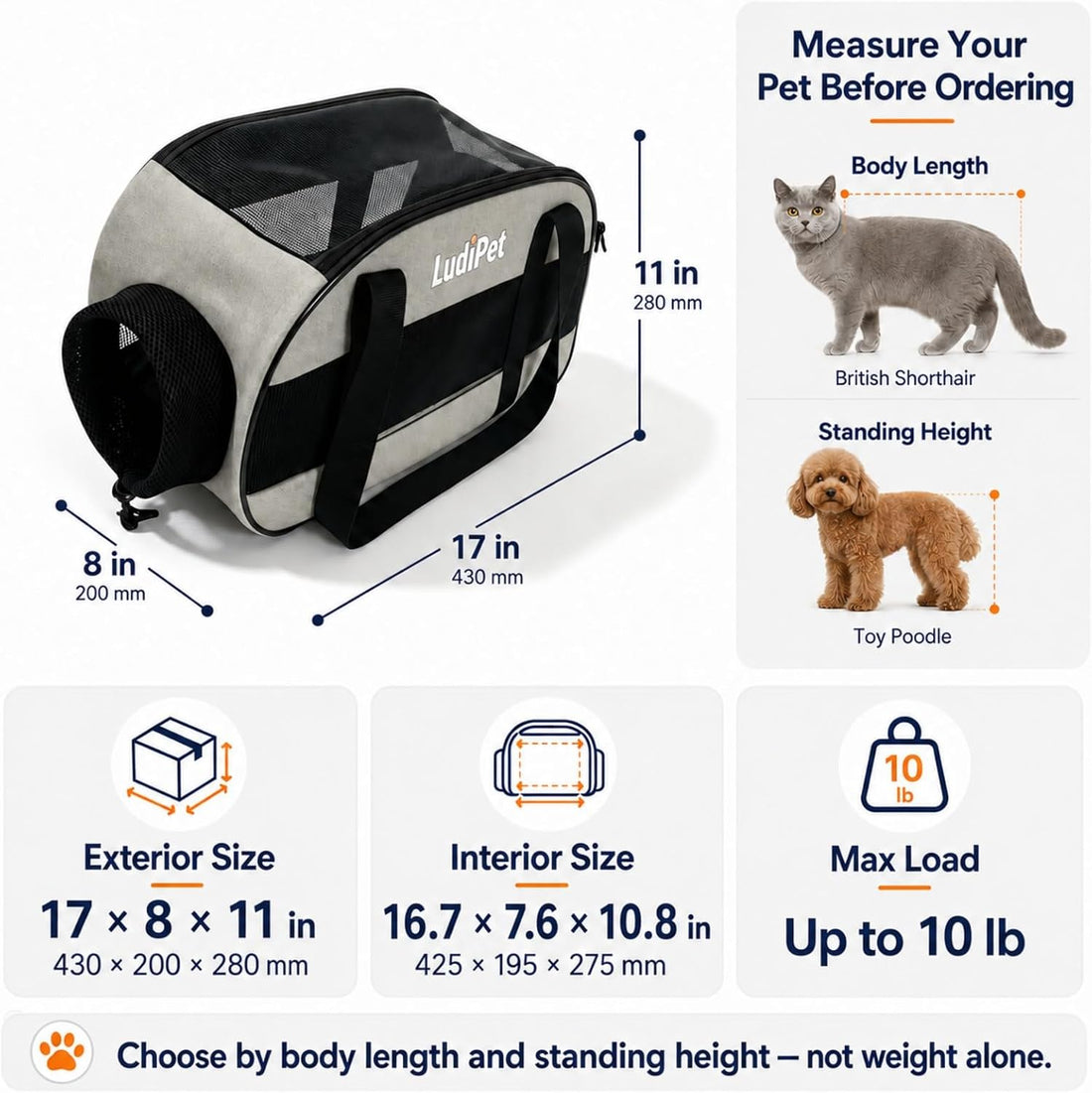 Airline-Friendly Pet Carrier for Cats and Small Dogs