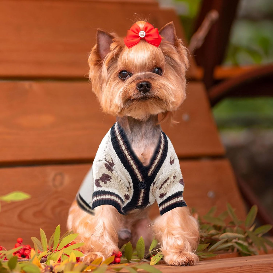 ABRRLO Small Dog Sweaters Cardigans Clothes for Small Medium Dogs Boy