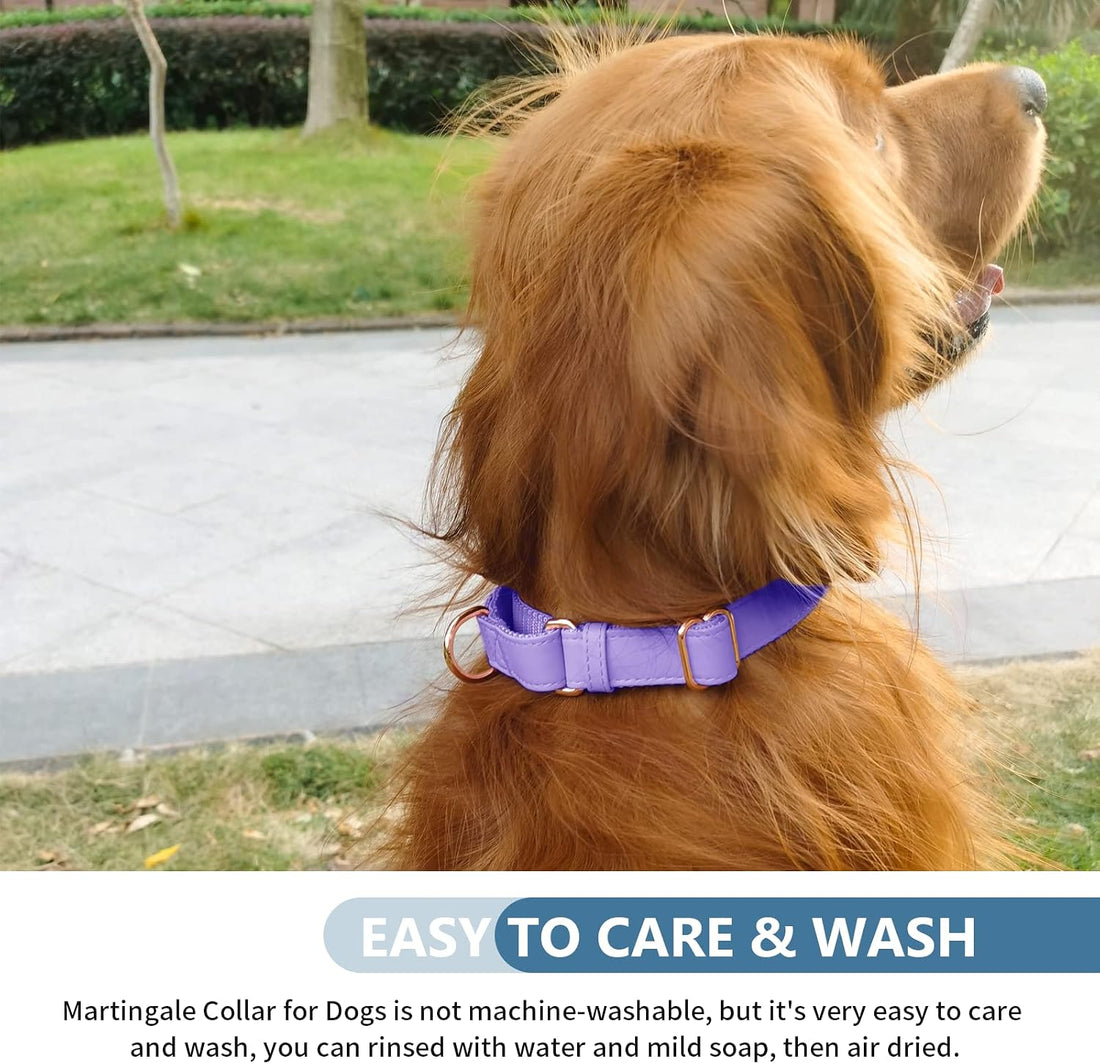 Soft Leather Martingale Dog Collar
