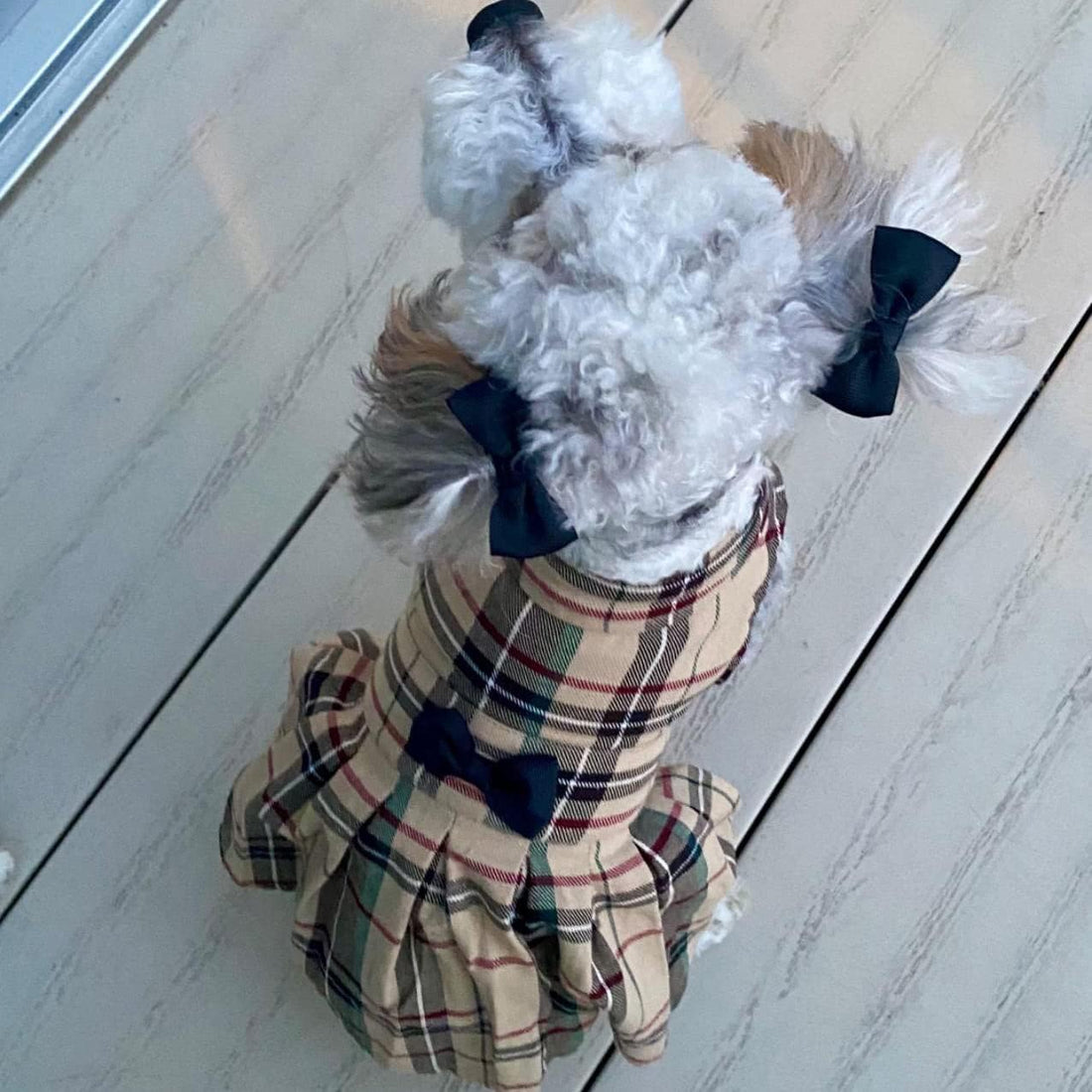 PUPTECK Classic Beige Plaid Dog Dress with Bow Puppy Skirt Clothes M
