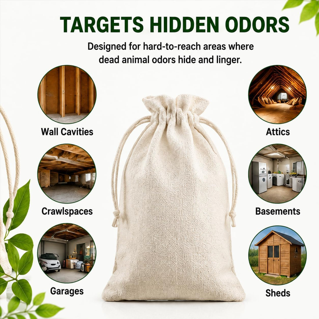 Dead Animal Odor Eliminator for Dead Mouse, Rodent & Rat Smell