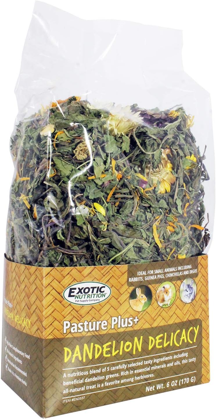 Exotic Nutrition Pasture Plus+ Dandelion Delicacy