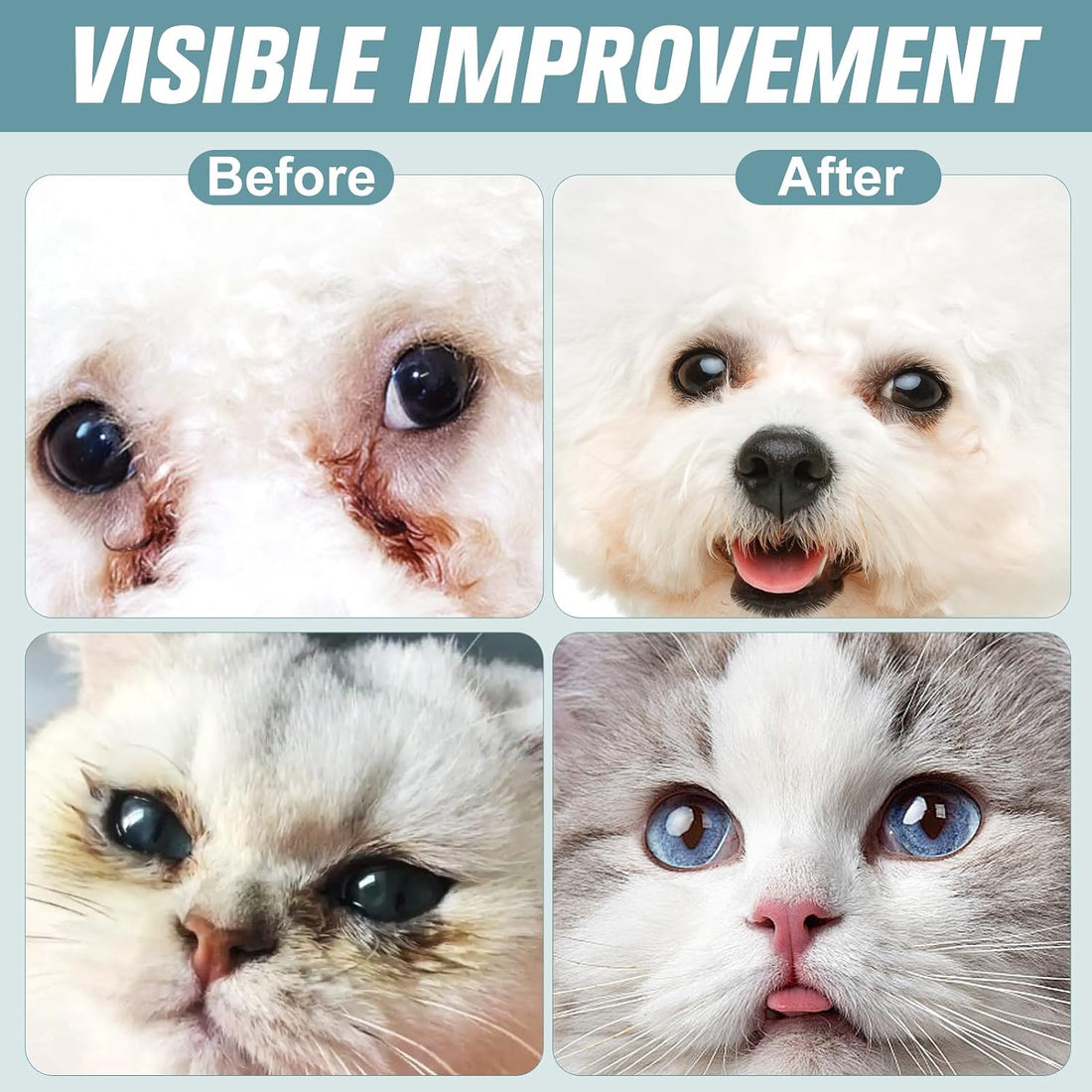 Pet Eye Drops for Dogs & Cats – Soothe Eye Infections,Allergies