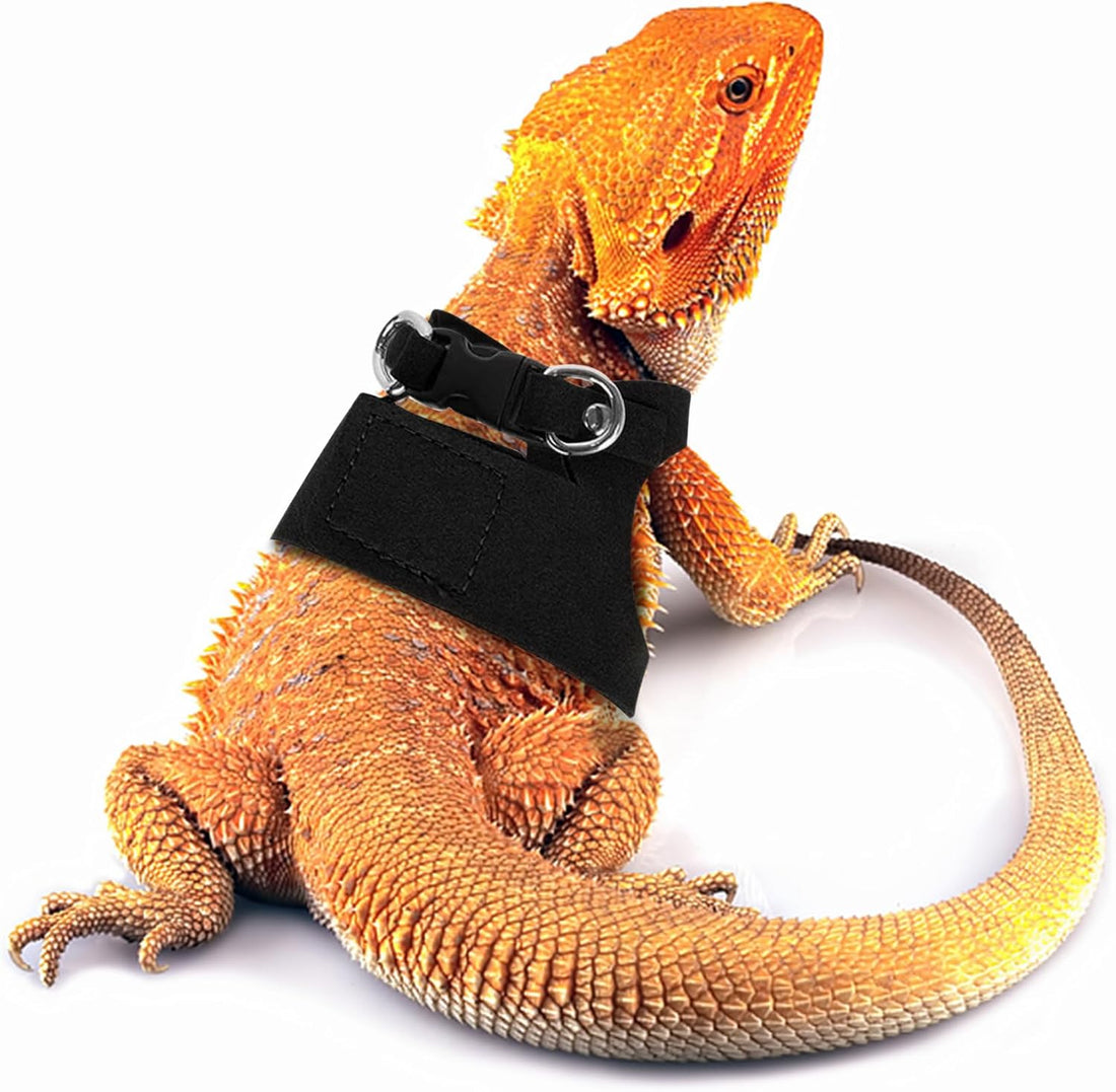 Bearded Dragon Leash and Harness Set, Beardie Carrier