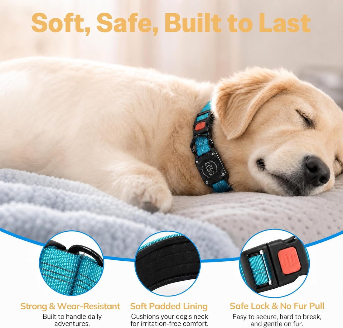 Dog Collar with AirTag Holder IP68 Waterproof Reflective Collar Blue M