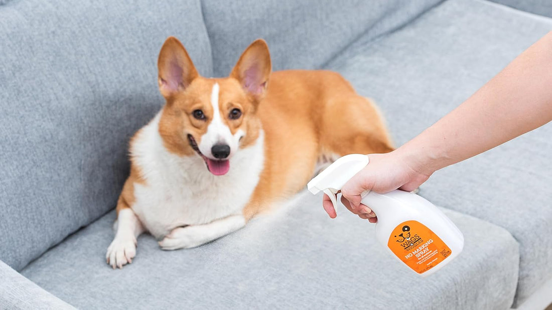 Wags & Wiggles No-Marking Deterrent Training Spray, 16 Fl Oz