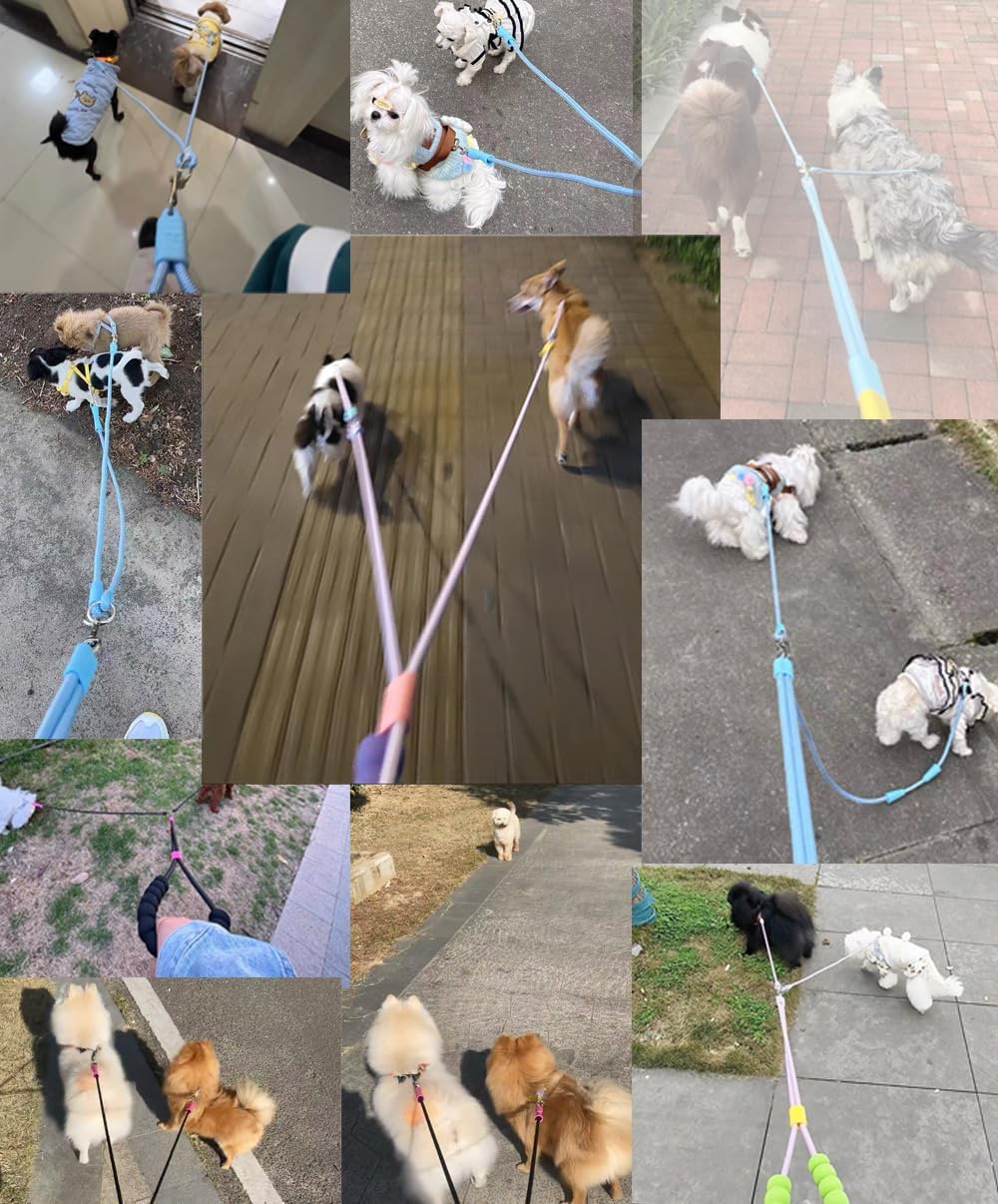 Hands Free Double Dog Leash for Two Dogs