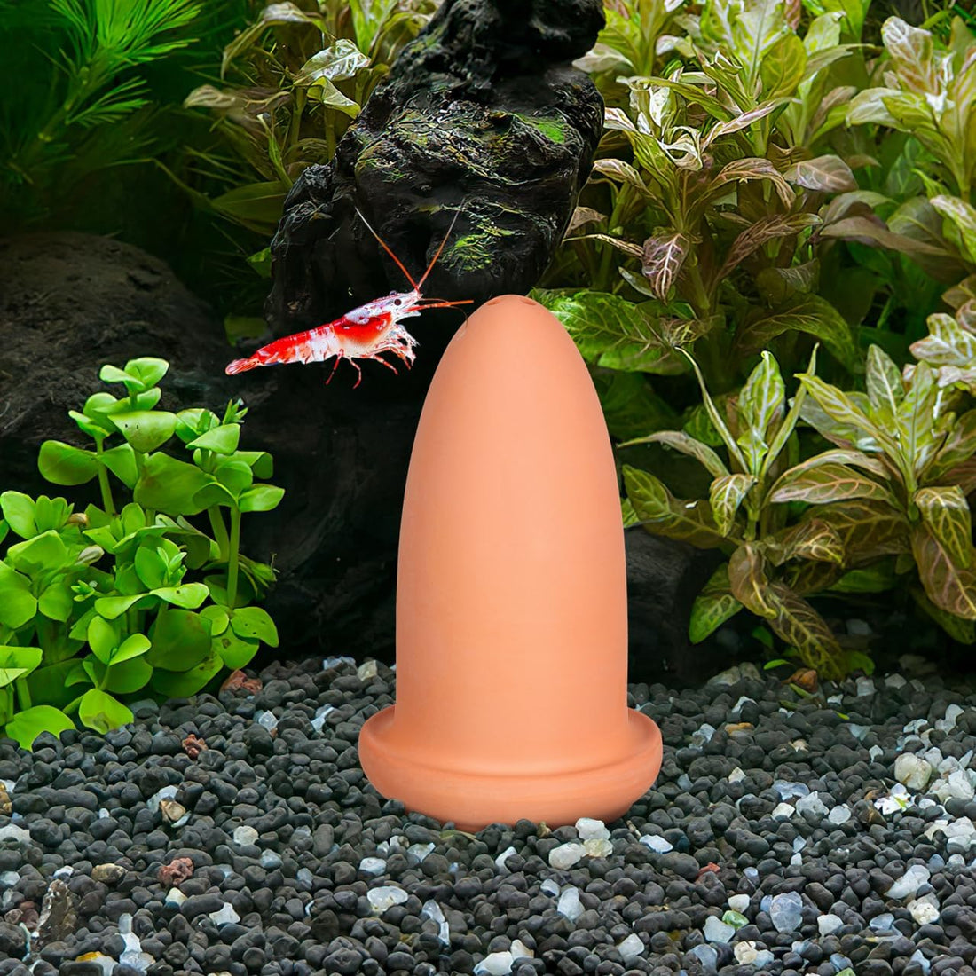 Sosoport Angelfish Spawning Cone Pottery Clay Light Brown