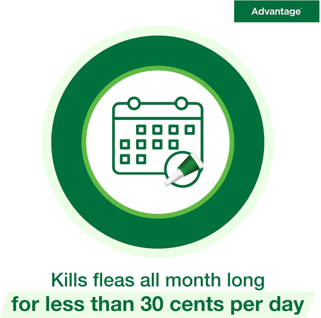 Advantage Topical Cat Flea Treatment and Prevention for Small Cats