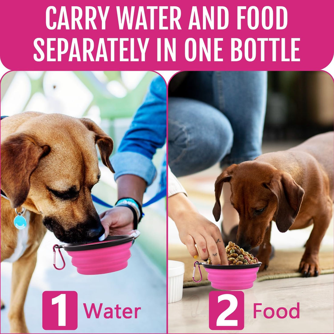 Dog Travel Water Bottle W/Collapsible Bowls