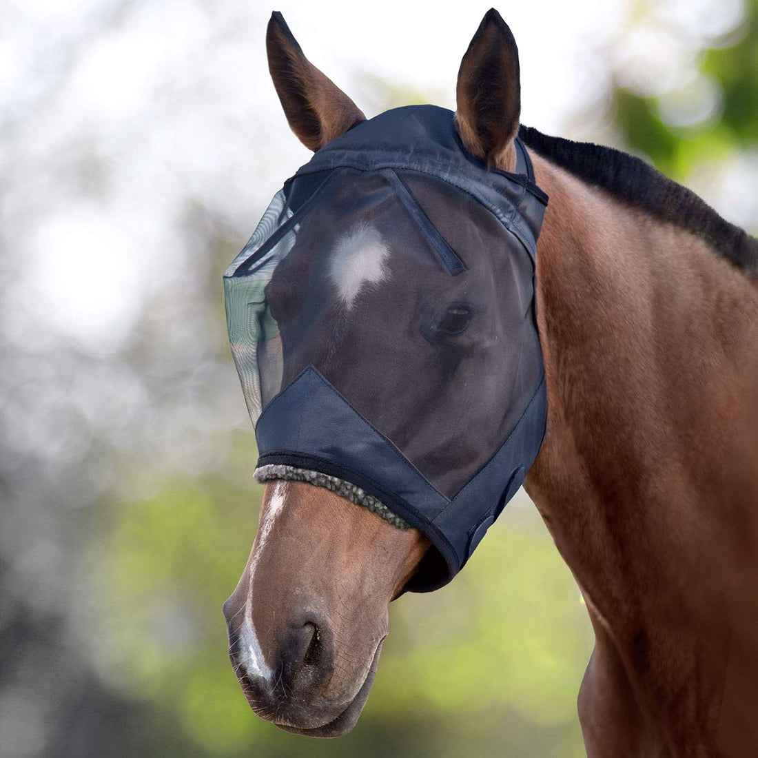 Harrison Howard CareMaster Horse Fly Mask Large Eye Space Standard