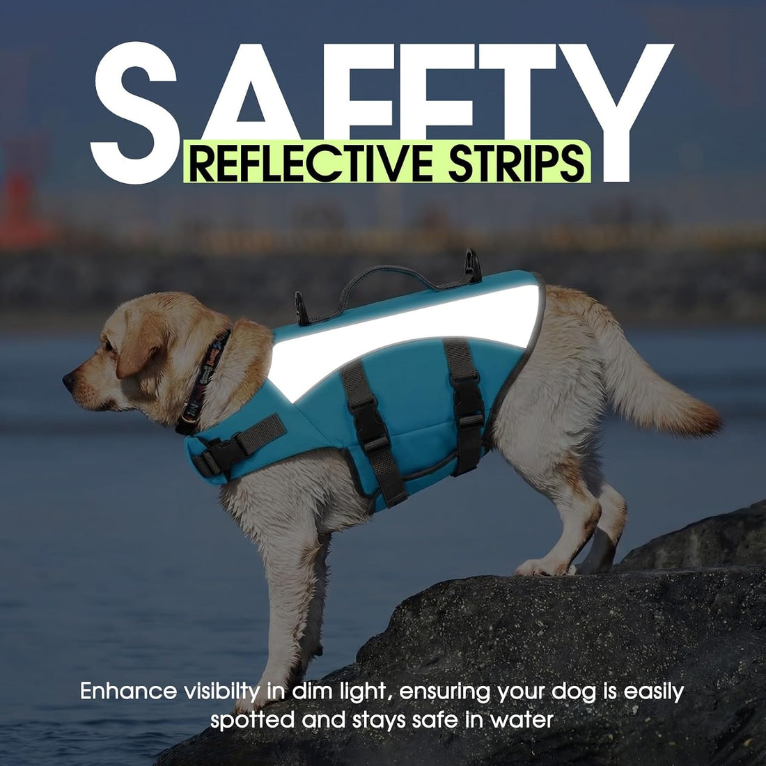 Dog Life Jacket, High Flotation Small Dog Life Vest for Swimming