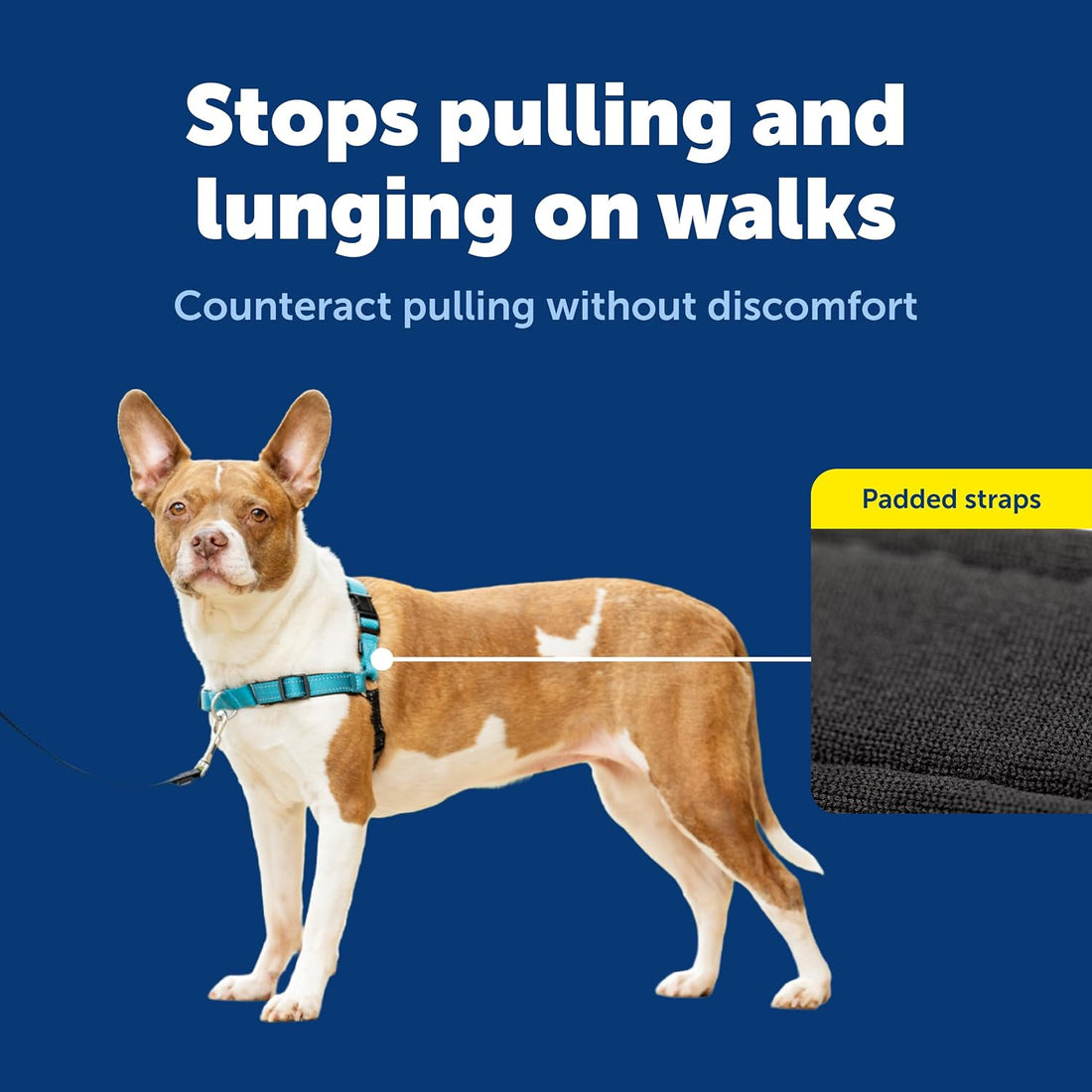 PetSafe Easy Walk Deluxe Dog Harness, No Pull Dog Harness