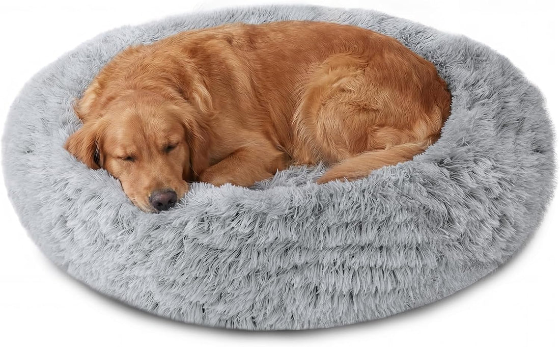 JOLLYVOGUE Calming Dog Bed Medium Size Dog