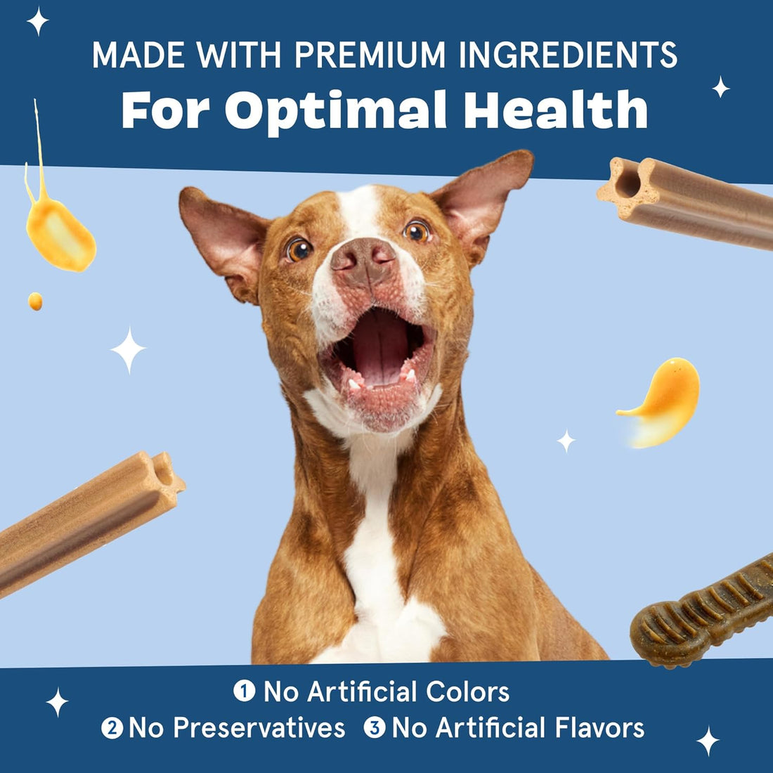 BARKBOX Bright Dental Care Kit - for Dogs - for Large Breeds (50+ lbs)