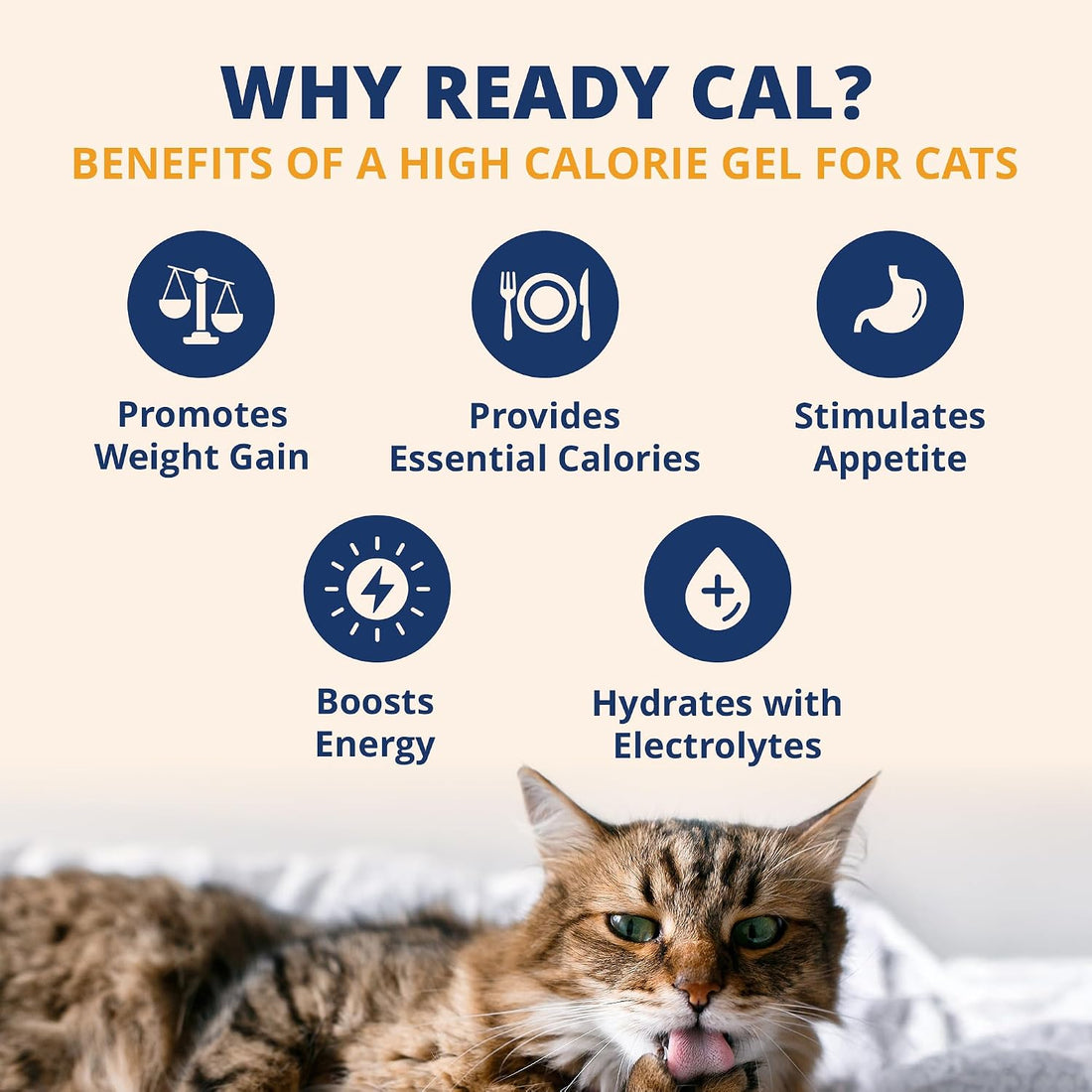 Under the Weather Pet Electrolytes Ready Cal Plus Gel for Cats