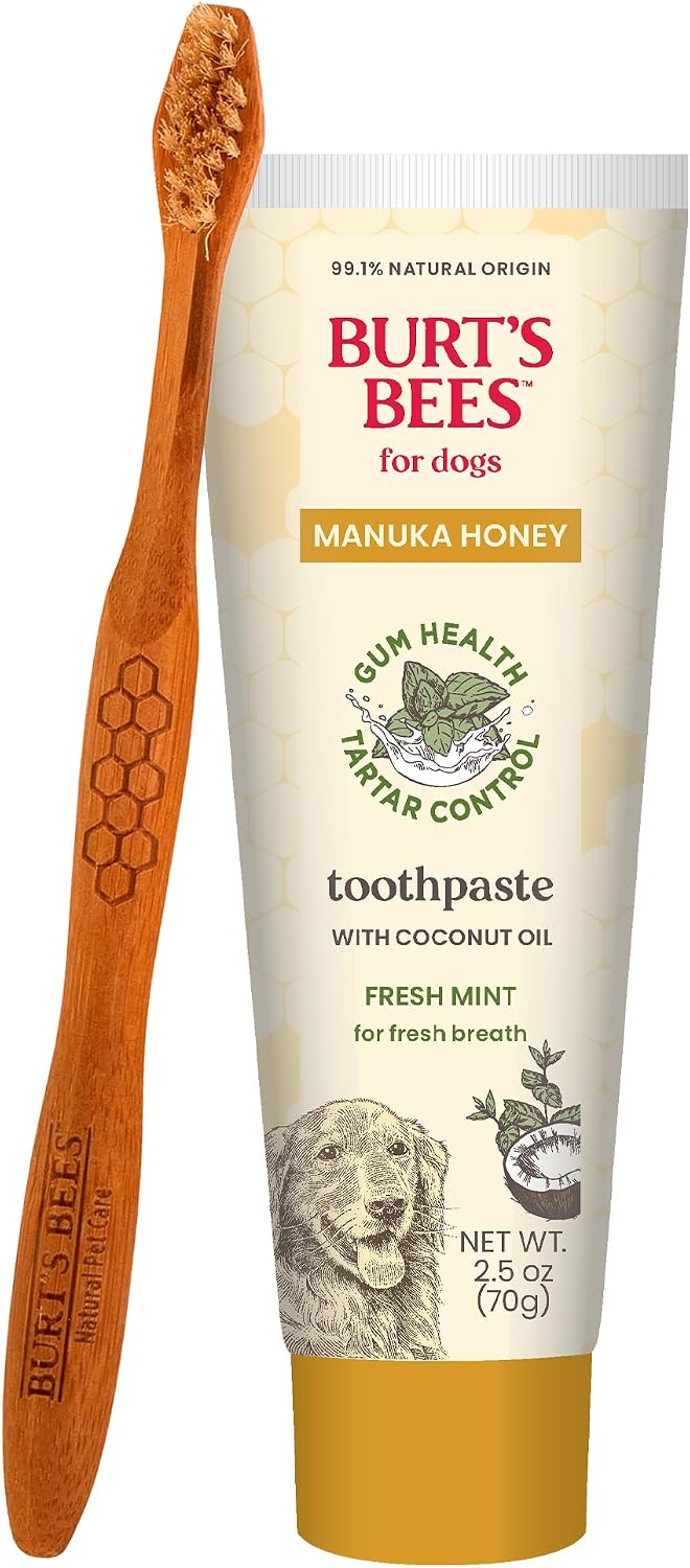 Burt's Bees Manuka Honey Fresh Mint Dog Dental Kit, 2.5 Oz