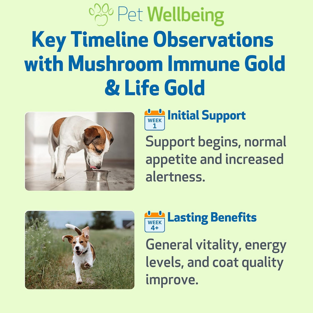 Pet Wellbeing More Mushrooms Value Size for Dogs