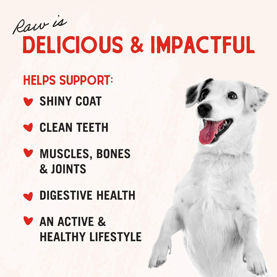 Stella & Chewy's Baked Kibble, Raw Blend