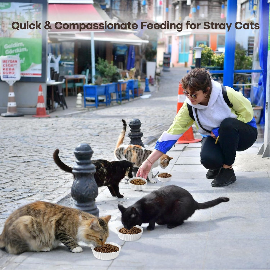 Bulk Disposable Cat Bowls Set Disposable Pet Food Bowls for Puppy
