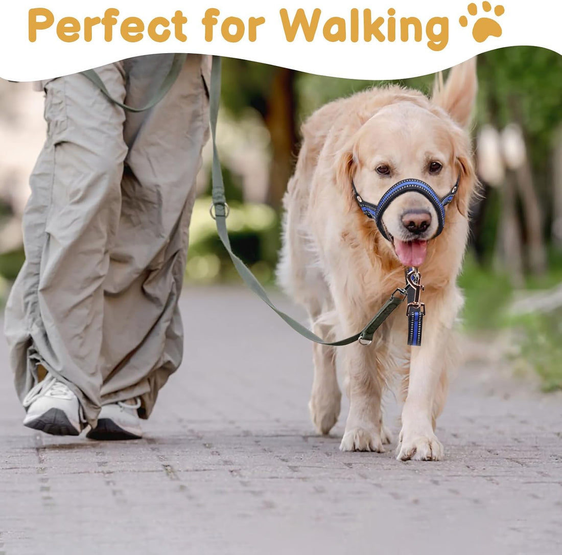 BARKLESS Muzzle Leash for Heavy Pullers, No Pull Stylish Head Halter